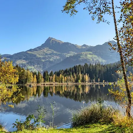 Modern In With Terrace