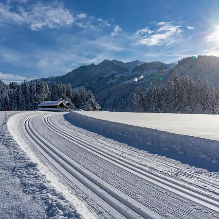 Modern In With Terrace *